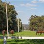 Alwyn Park Stud