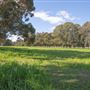 Alwyn Park Stud