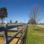 Gold Front Breeding & Racing