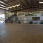 Gold Front Breeding & Racing