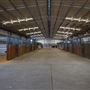 Gold Front Breeding & Racing