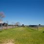 Gold Front Breeding & Racing