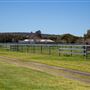 Gold Front Breeding & Racing