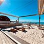 Rottnest -  Samphire Rottnest