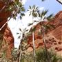 Bungle Bungles Range - Purnululu National Park