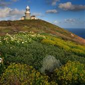 Albany - Breaksea Island Lighthouse