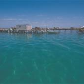 Abrolhos Islands - East Wallabi