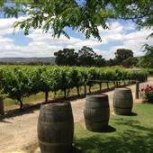 Swan Valley - Windy Creek Estate Winery