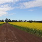 West Arthur- Farmland