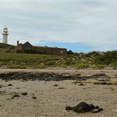 Jarman Island