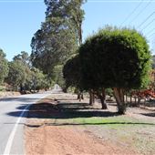 Canns Road