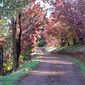 Slab Gully Road