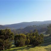 Brigadoon - Campresic Road