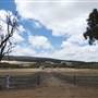 Mount  Richards Rd -Kalgan