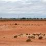 Arrow Lake - Kanowna - Goldfields