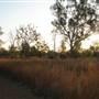 Derby - Landscapes