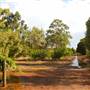 Faber  Vineyard, Swan Valley
