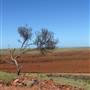 Karratha Surrounds - Pilbara