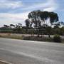 Merredin
