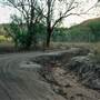 Middle Springs East Kimberley
