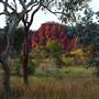 Kununurra - Ragged Range
