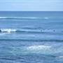 Gracetown