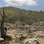 John Forrest National Park