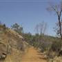 John Forrest National Park