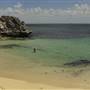 Rottnest Island