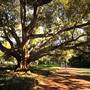 University of Western Australia - Campus