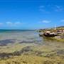 Abrolhos Islands - East Wallabi