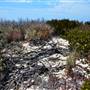 Abrolhos Islands - East Wallabi
