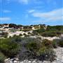 Abrolhos Islands - East Wallabi