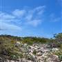 Abrolhos Islands - East Wallabi