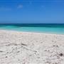 Abrolhos Islands - East Wallabi