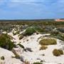 Abrolhos Islands - East Wallabi