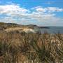 Garden Island - Goodwin Point - from Land