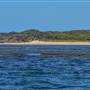 Garden Island - Ewing Bay