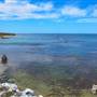 Garden Island - Point Atwick - North and South Bay from land