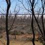 Dumbleyung Lake