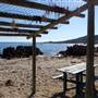 Gracetown