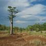 Derby - Landscapes