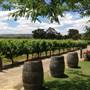 Swan Valley - Windy Creek Estate Winery