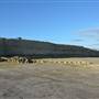 Nowergup Quarry