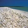 Shark Bay