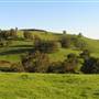 Nannup - Xmas Brook Farm