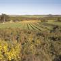 Chapman Valley
