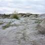 Armadale Perth