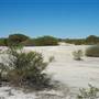 Shark Bay