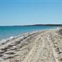 Shark Bay